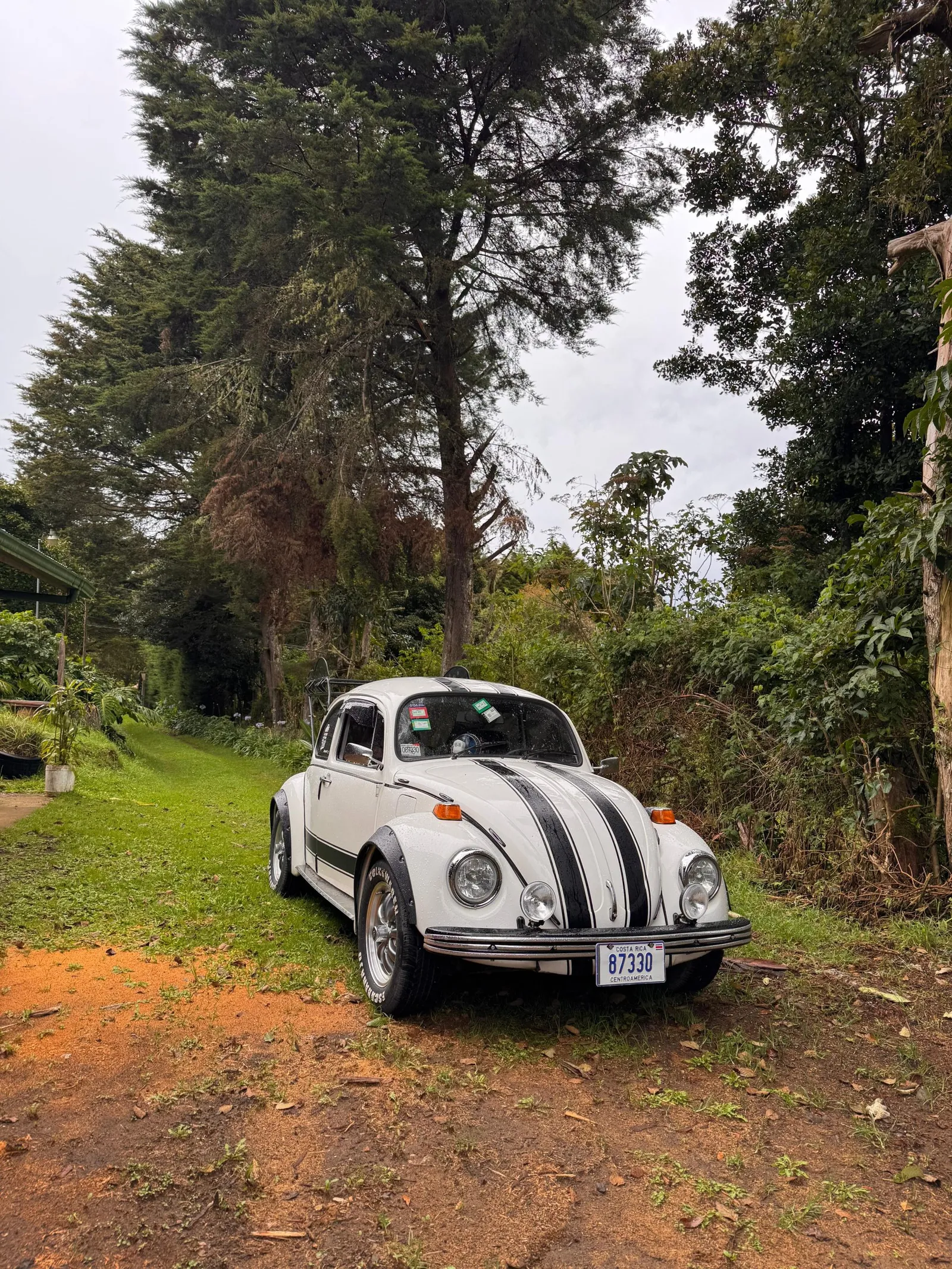 1972 Volkswagen The Beetle
