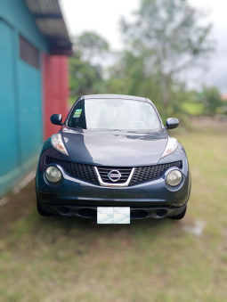 Excelente 2014 Nissan Juke lleno