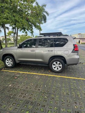 2019 Toyota Land Cruiser