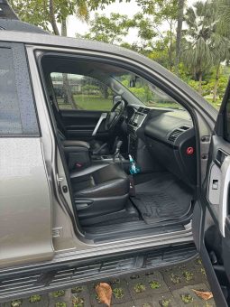 2019 Toyota Land Cruiser lleno