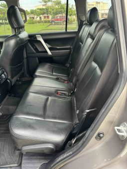 2019 Toyota Land Cruiser lleno